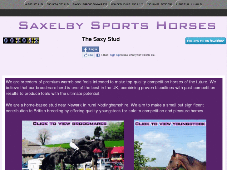 www.saxelbysportshorses.com