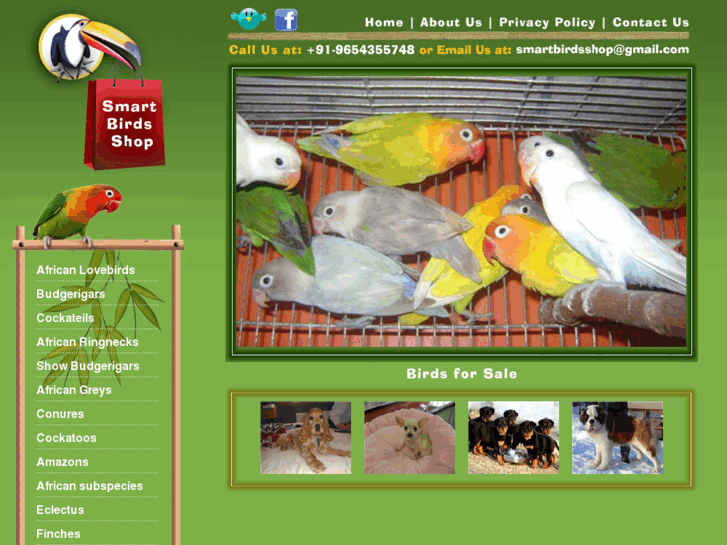 www.smartbirdsshop.com