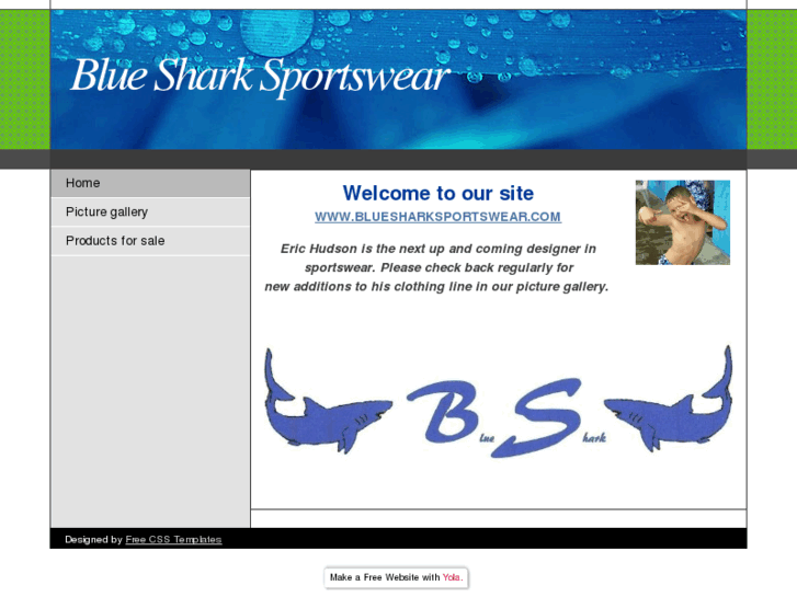 www.bluesharksportswear.com