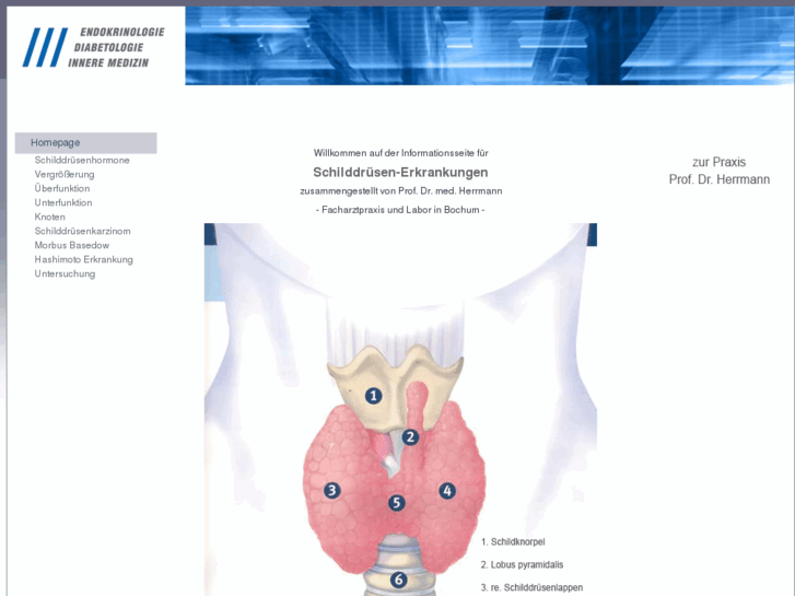 www.schilddruese-hormone.de