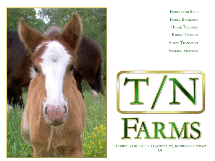 www.teahenfarms.com