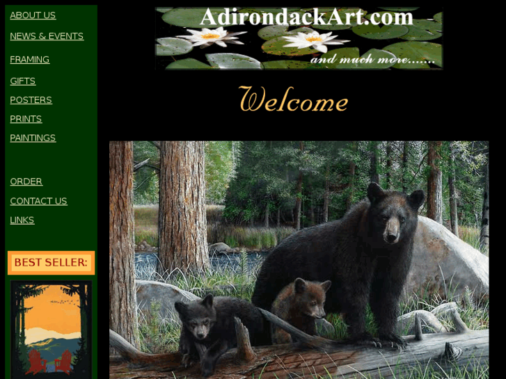 www.adirondackart.com