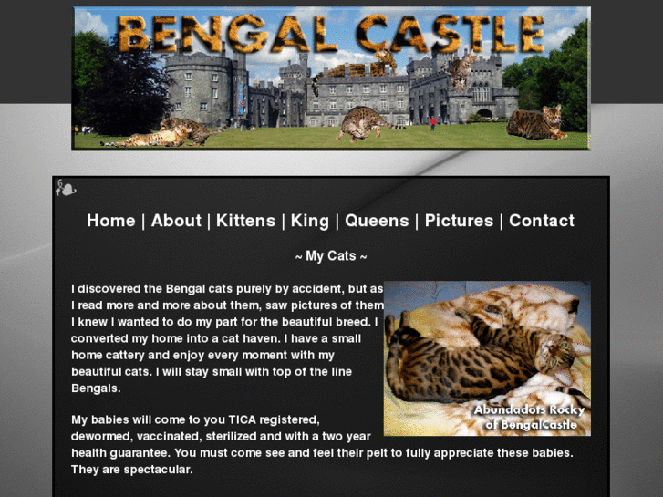 www.bengalcastle.com