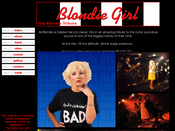 www.blondietribute.com