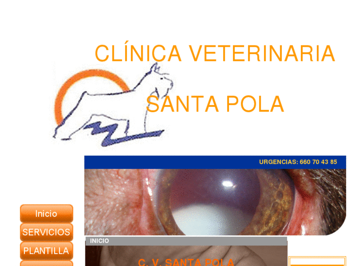 www.cvsantapola.es