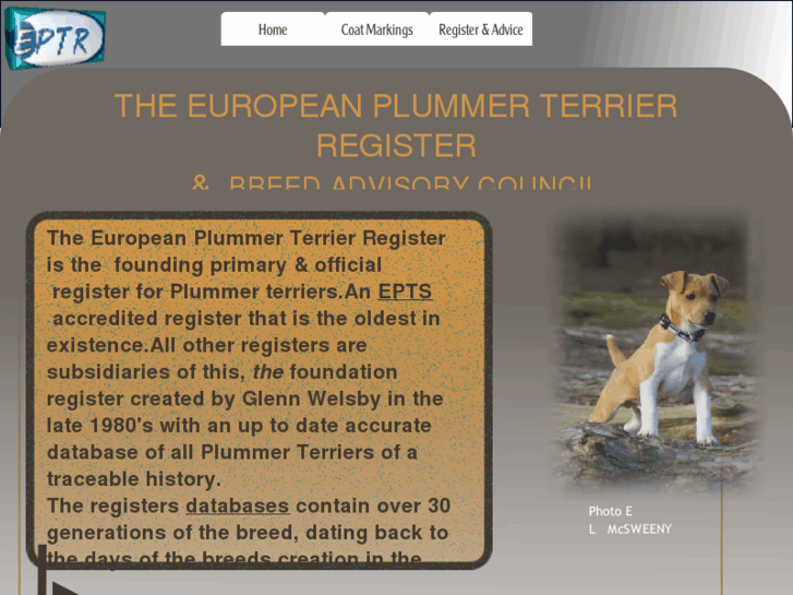 www.european-plummerterrier-register.com