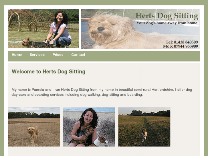 www.hertsdogsitter.com