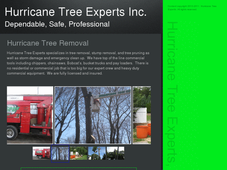 www.hurricanetreeexperts.com