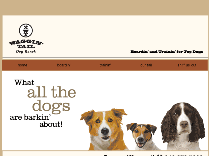 www.waggintaildogranch.com