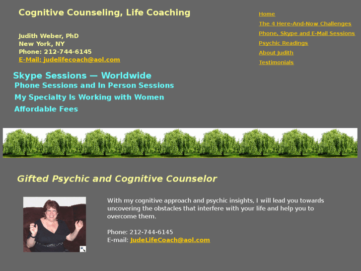 www.cognitivecounseling.net