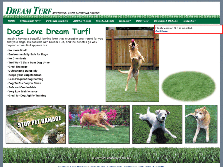 www.dogturf.com