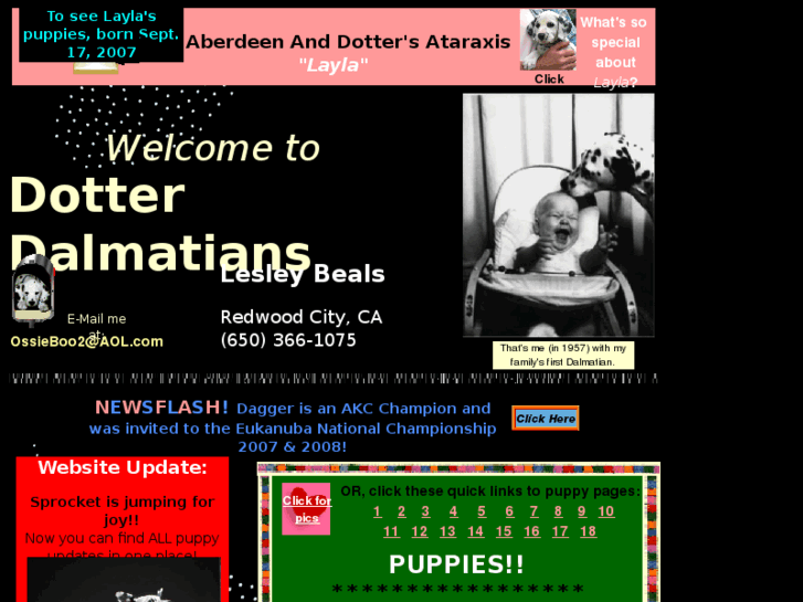 www.dotterdalmatians.com