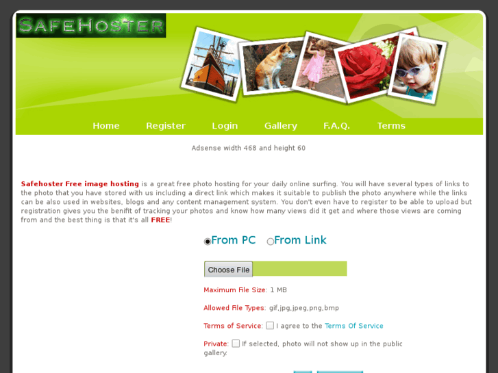 www.safehoster.org