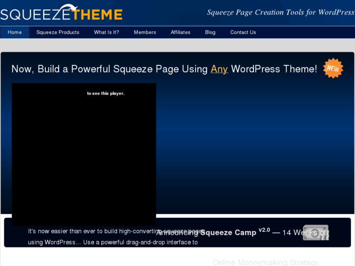 www.squeezetheme.com