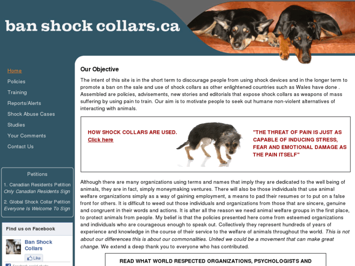 www.banshockcollars.ca