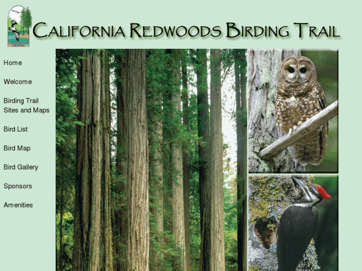 www.californiaredwoodbirdingtrail.org