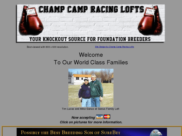 www.champcampracinglofts.com