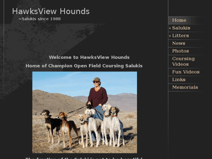 www.hawksviewhounds.com