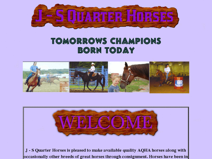 www.j-squarterhorses.com