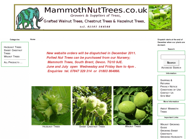 www.mammothnuttrees.com