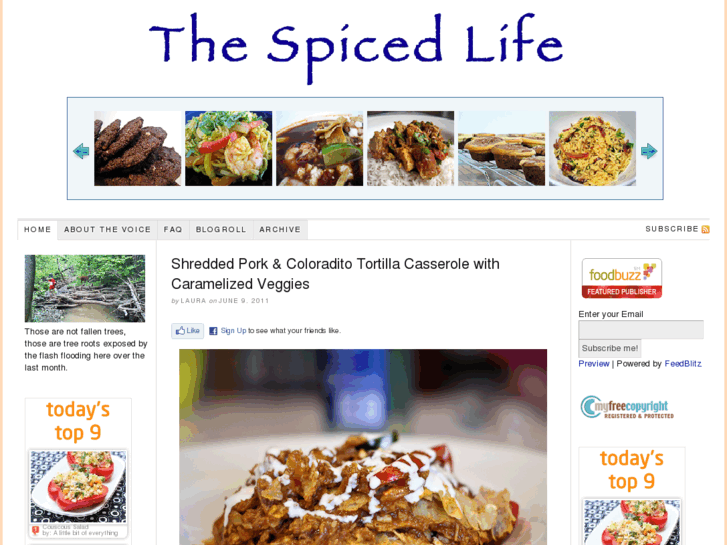 www.thespicedlife.com