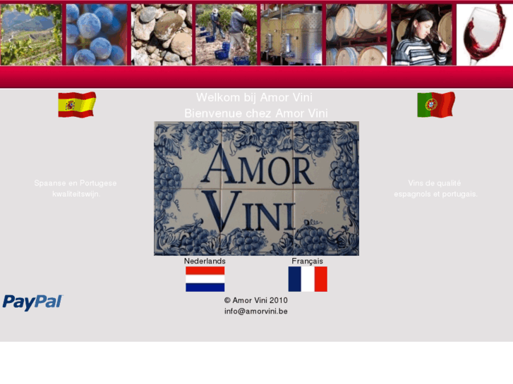 www.amorvini.be