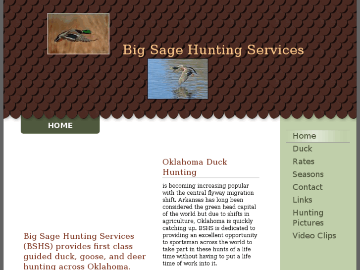 www.bigsagehunts.com