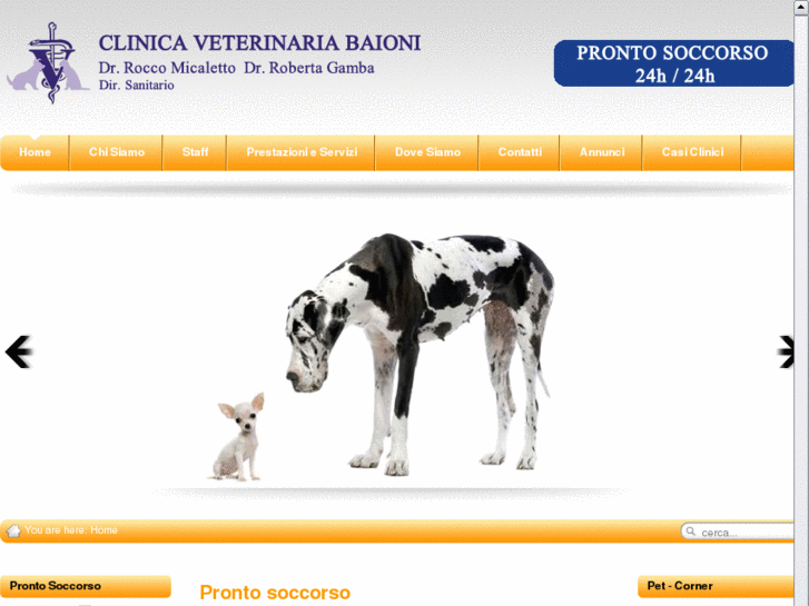 www.clinicaveterinariabaioni.com