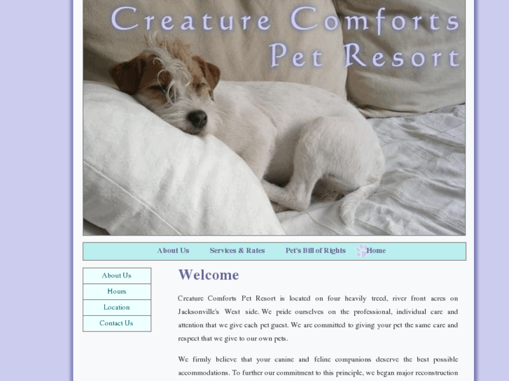 www.creaturecomforts-jax.com