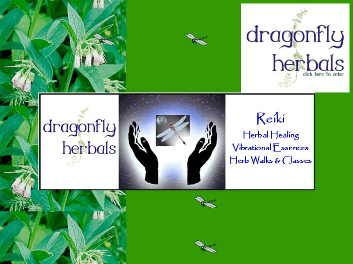 www.dragonflyherbals.com