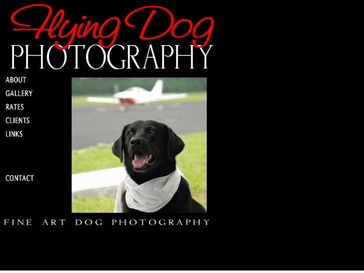 www.flyingdogphoto.com