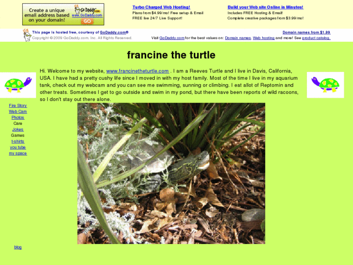 www.francinetheturtle.com