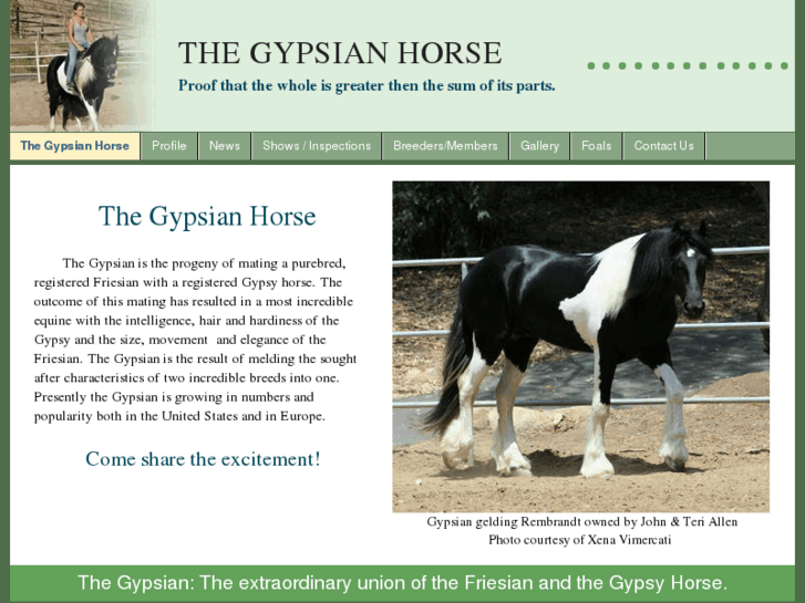 www.gypsians.com