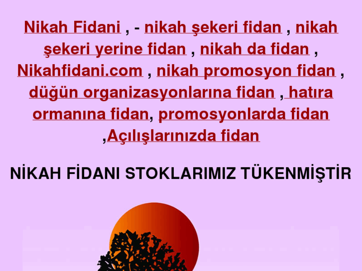 www.nikahfidani.com