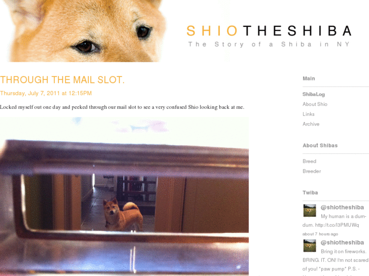 www.shiotheshiba.com