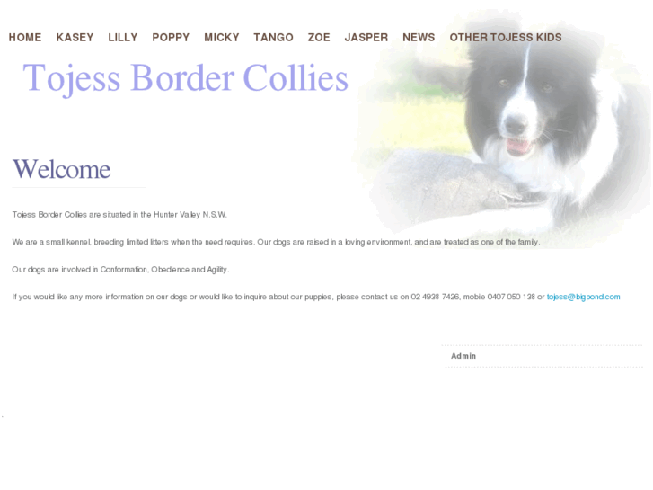 www.tojessbordercollies.com