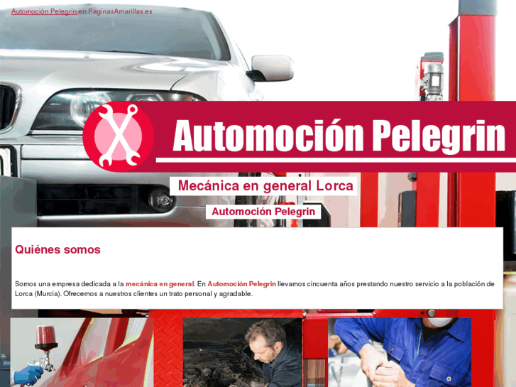 www.automocionpelegrin.es