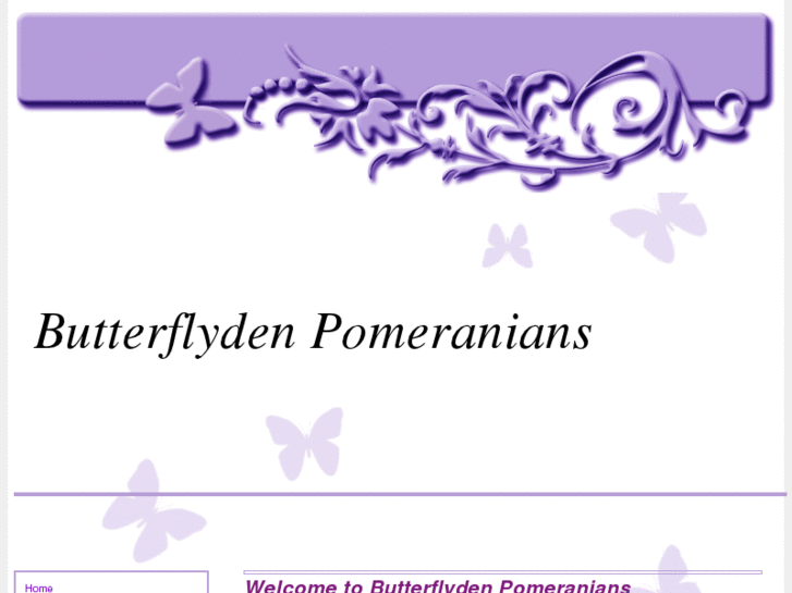 www.butterflydenpomeranians.com