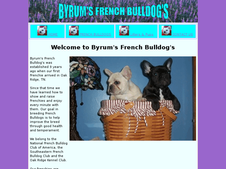 www.byrumsfrenchbulldogs.com