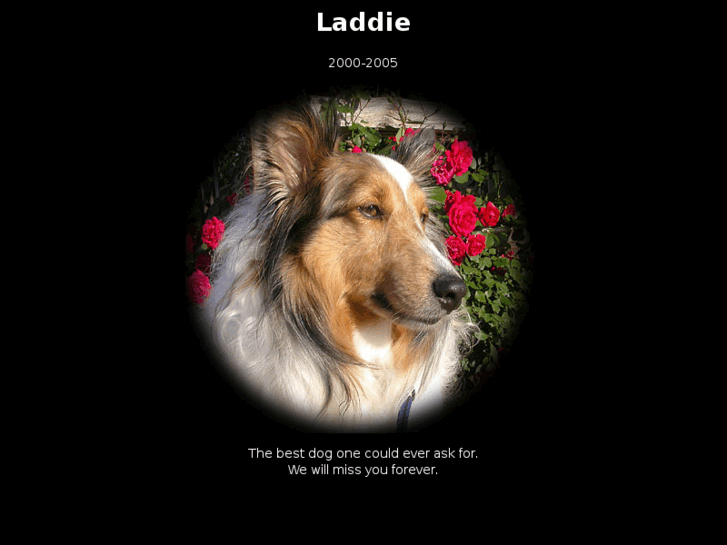 www.ladadog.com