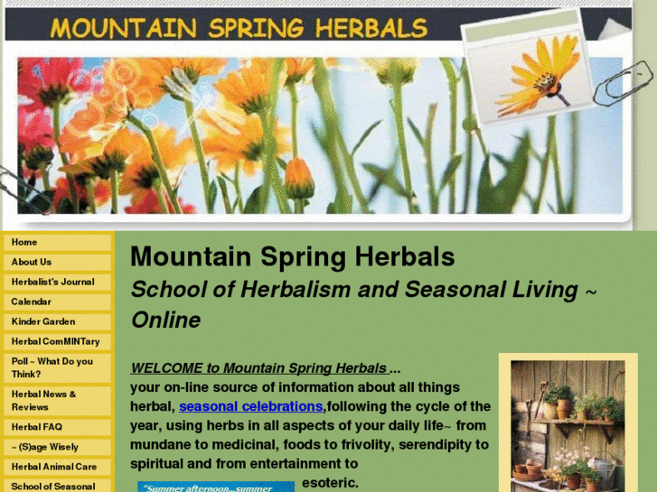 www.mountainspringherbals.com