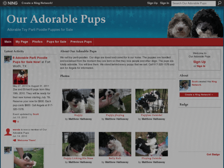 www.ouradorablepups.com