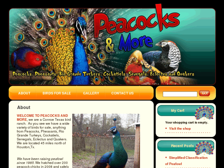 www.peacocksnmore.com