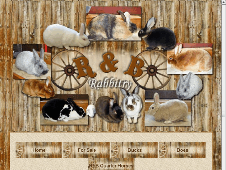 www.rnb-rabbitry.com