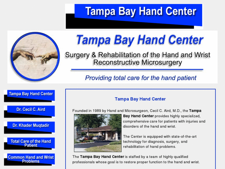 www.tampabayhandcenter.com