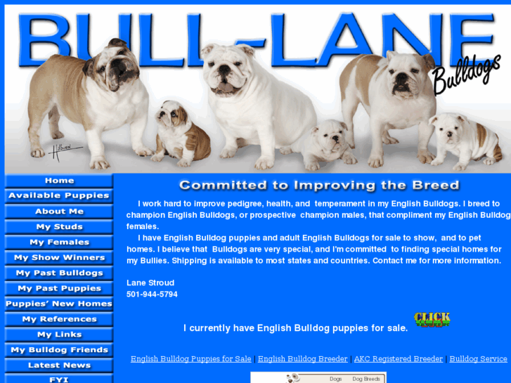 www.bulllanebulldogs.com