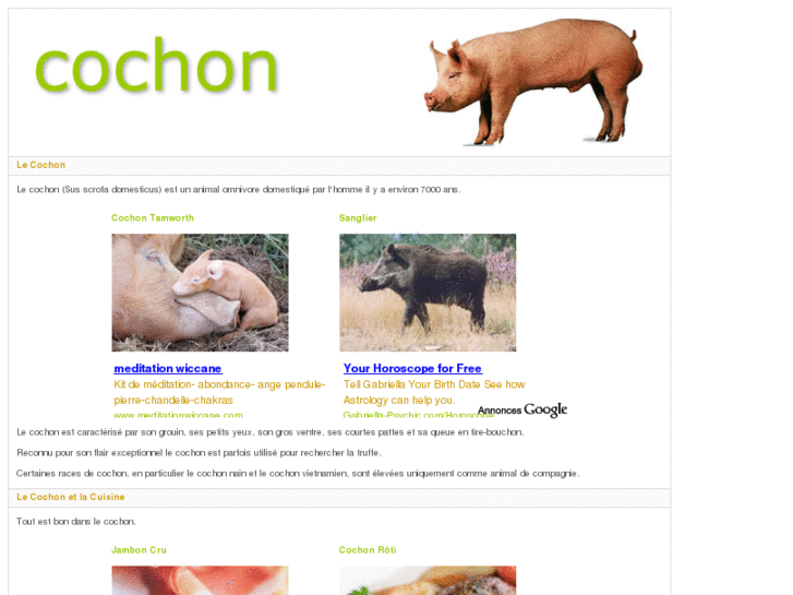 www.cochon.eu