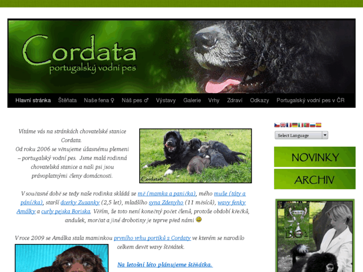 www.cordata.cz