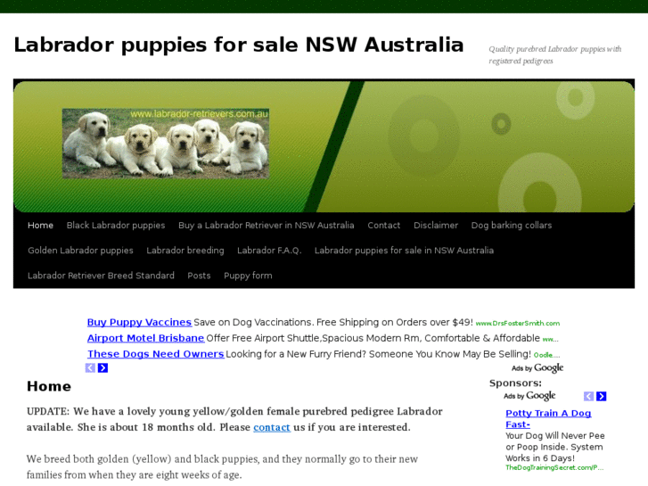 www.labrador-retrievers.com.au