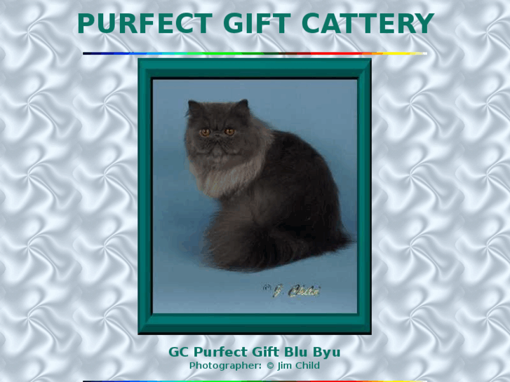 www.purfectgift.com